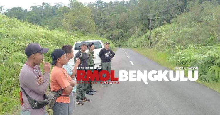 Tim gabungan saat meninjau ke lokasi penampakan Harimau Sumatera/RMOLBengkulu