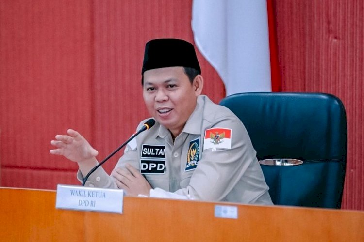 Wakil Ketua DPD RI Sultan B Najamudin/Net