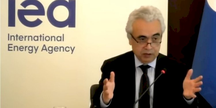 Direktur Eksekutif Badan Energi Internasional (IEA) Fatih Birol/Net