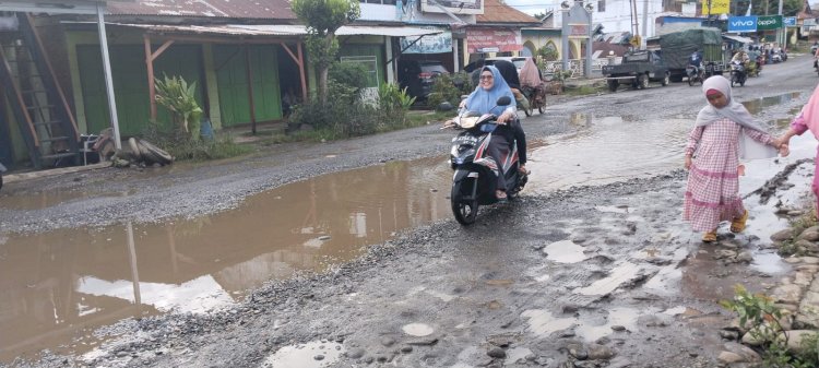 Jalan provinsi rusak parah di Kabupaten Seluma/Ist