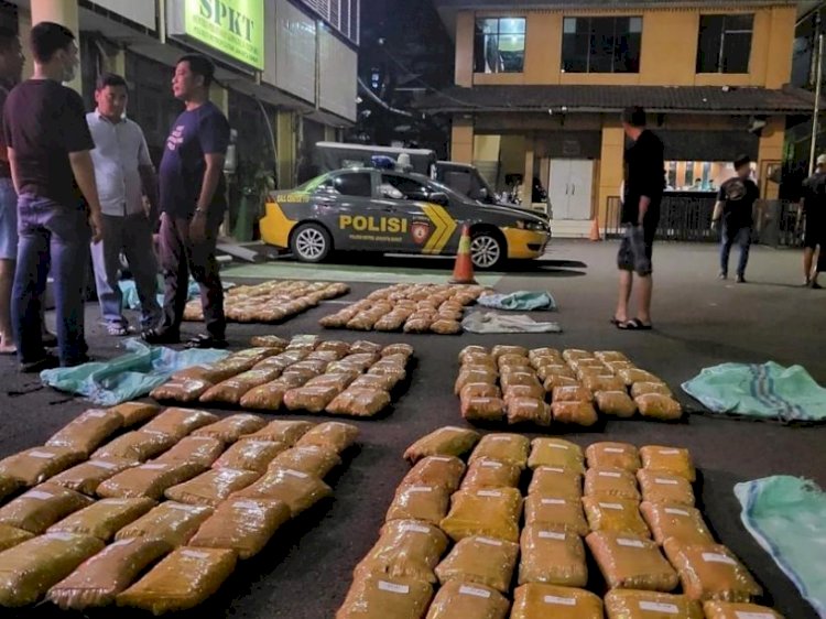 Satuan Narkoba Polres Metro Jakarta Barat menggagalkan peredaran narkoba jenis ganja/Ist