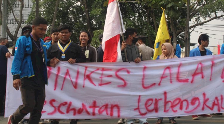 Demo PMII Universitas Mitra Karya yang meminta Kadinkes mundur/Ist