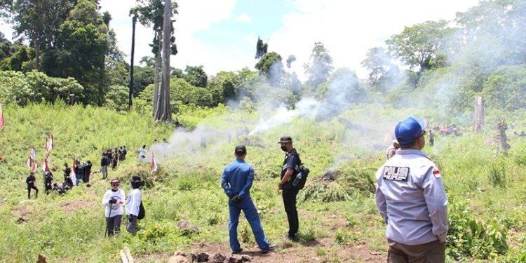 Pemusnahan ladang ganja di wilayah Desa Lamteuba, Kecamatan Seulimeum, Kabupaten Aceh Besar. Foto: Ist.