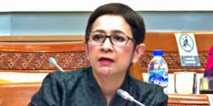 Anggota Komisi I DPR RI Nurul Arifin/Net  Komisi I