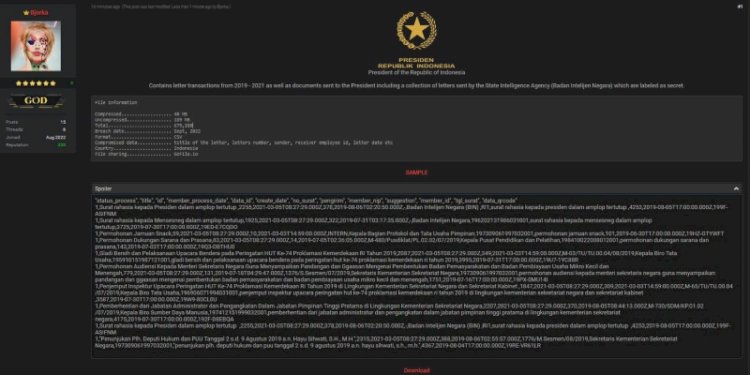  Klaim Bjorka yang mengaku telah meretas data dari Presiden Joko Widodo/Net