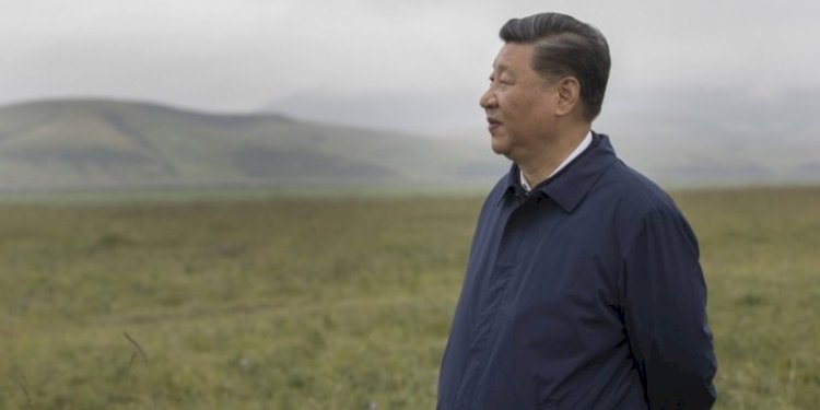 Presiden China Xi Jinping/Net
