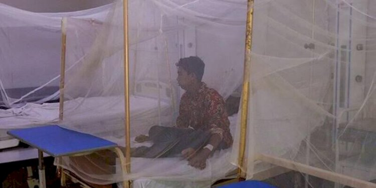 Dilanda Malaria, Pakistan Beli 6,2 Juta Kelambu Nyamuk dari India