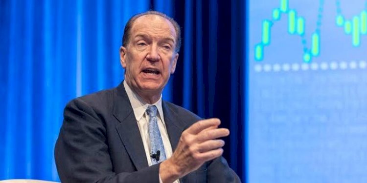 Presiden Bank Dunia, David Malpass/Net