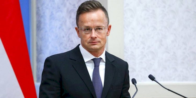 Menteri Luar Negeri Hongaria Peter Szijjarto/Net