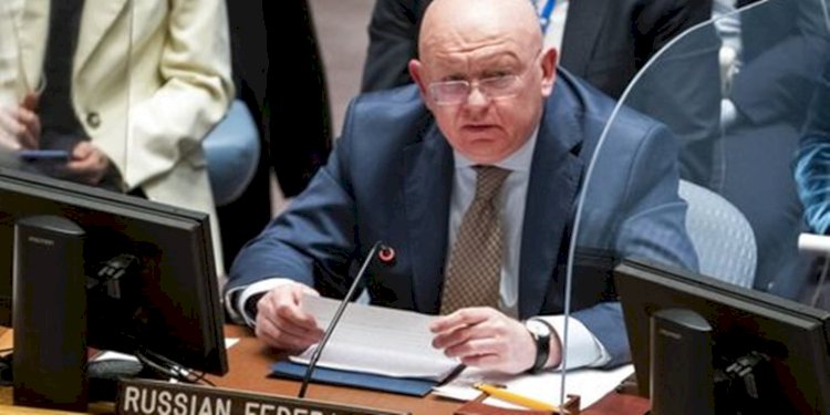 Duta Besar Rusia untuk PBB Vassily Nebenzia/Net