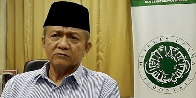 Wakil Ketua Umum MUI Anwar Abbas/Net