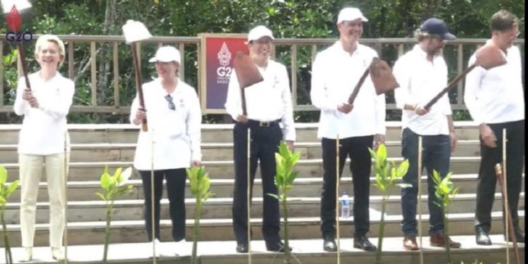 Presiden Joko Widodo dan para pemimpin G20 ketika menanam mangrove di Tahura Ngurah Rai, Denpasar, Bali pada 16 November 2022/Net