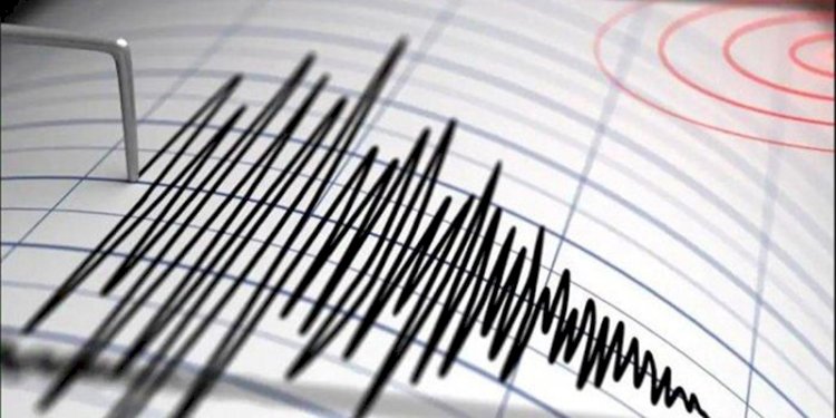 Ilustrasi gempa/Net
