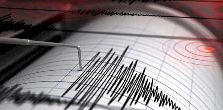 Ilustrasi Gempa/Net