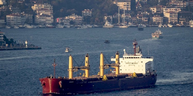 Kapal kargo Zante, membawa biji-bijian Ukraina, berlayar di Selat Bosphorus, di Istanbul, Turki, 02 November 2022/Net
