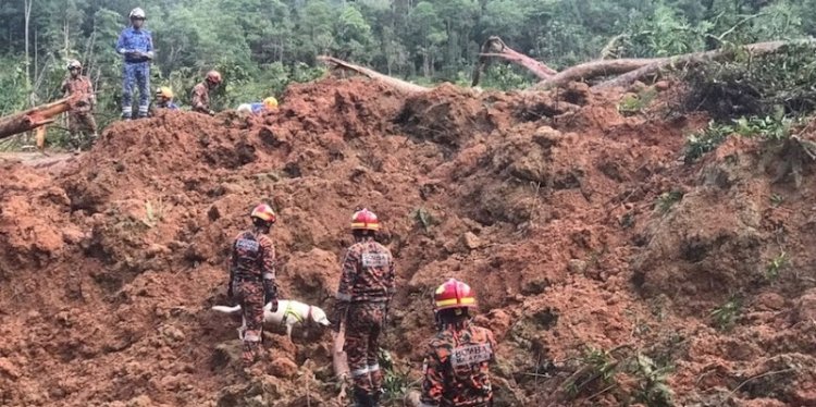 Proses pencarian korban longsor di negara bagian Selangor, Malaysia/Net