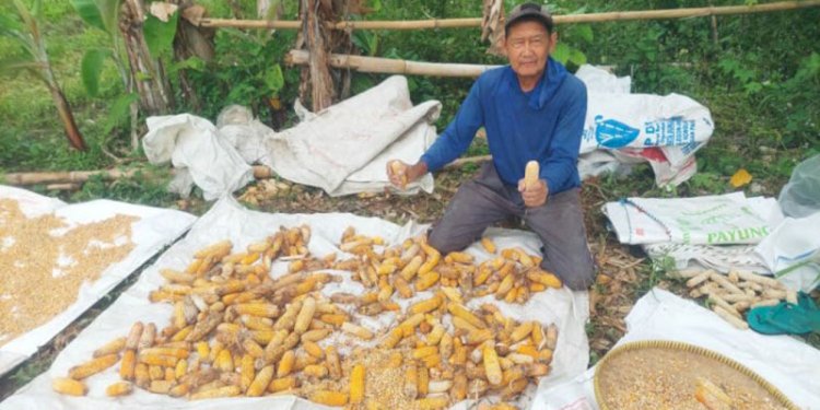 Basuni (65), petani jagung di Desa Negeri Agung, Kecamatan BP Peliung, OKU Timur, Sumatera Selatan/RMOLSumsel