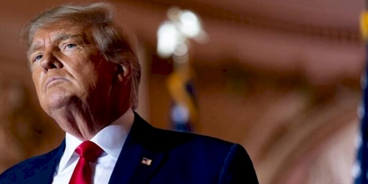  Donald Trump/Net