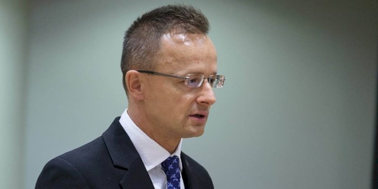 Menteri Luar Negeri Hungaria Peter Szijjarto/Net