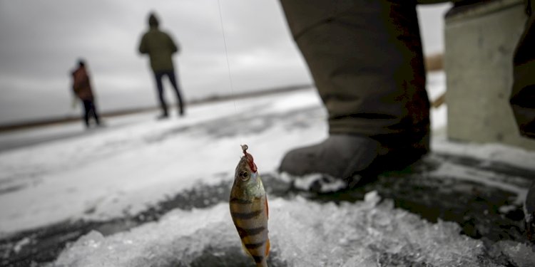Penduduk Kharkiv yang memancing di danau beku di desa Nova Hnylytsya, Ukraina/Net