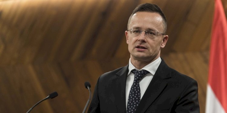 Menteri Luar Negeri Hongaria Peter Szijjarto/Net