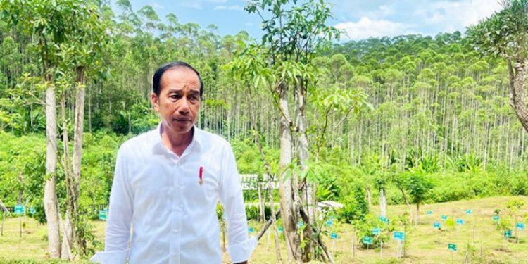 Presiden Joko Widodo di IKN/Net