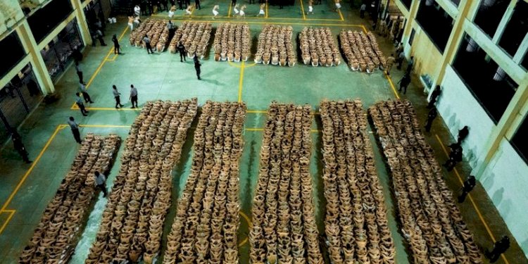 El Salvador Pindahkan Ribuan Napi Geng Kriminal ke Penjara Raksasa