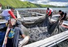 PYCH Optimistis Tingkatkan Budi Daya Ikan Air Tawar Danau Sentani
