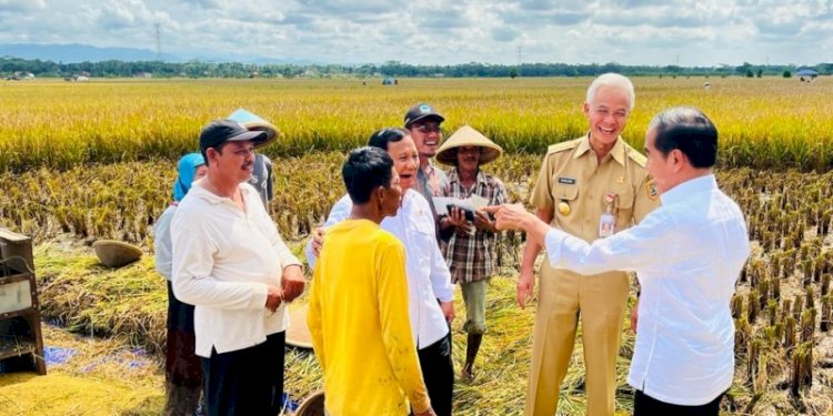 Presiden Jokowi bersama Prabowo Subianto dan Ganjar Pranowo meninjau panen raya di Kebumen, Kamis (9/3)/Net