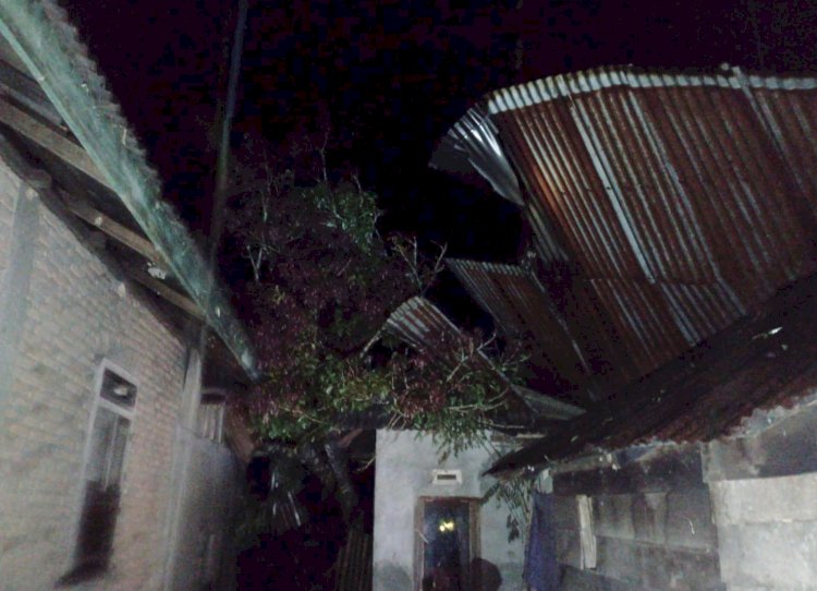 Tampak rumah warga tertimpa pohon tumbang di Desa Tik Kuto/RMOLBengkulu