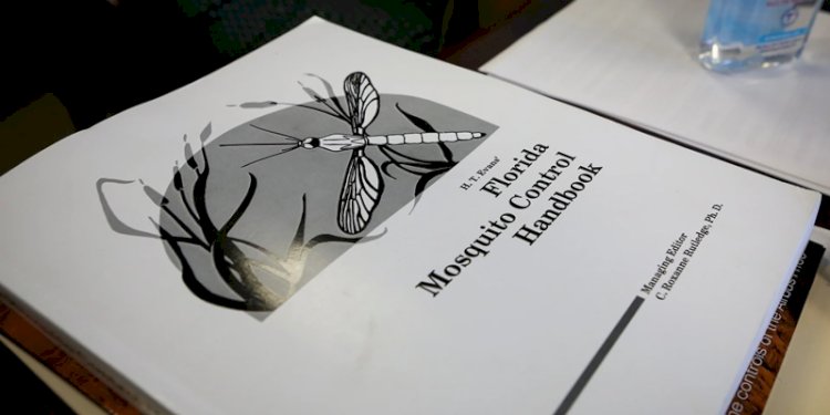 Ilustrasi/Net