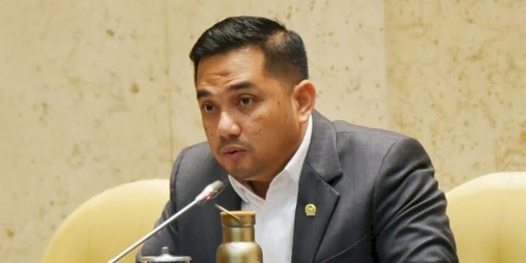 Politisi PDIP Rifqinizamy Karsayuda/Ist