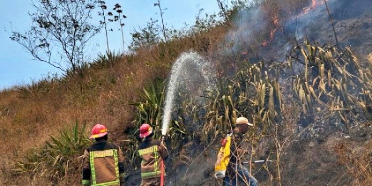 Kebakaran Hutan di Tarogong Kabupaten Garut/Ist