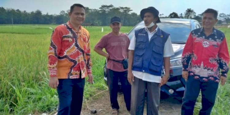 Kepala Dinas Tanaman Pangan dan Holtikultura Lampung Utara, Tomy Suciadi (kiri)/RMOLLampung