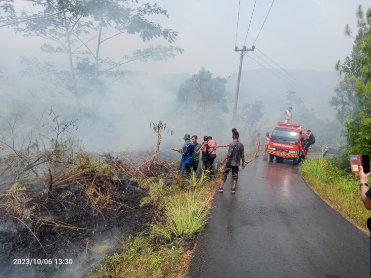 Lahan gambut yang terjadi di Desa Suka Sari Kecamatan Lebong Selatan/Ist