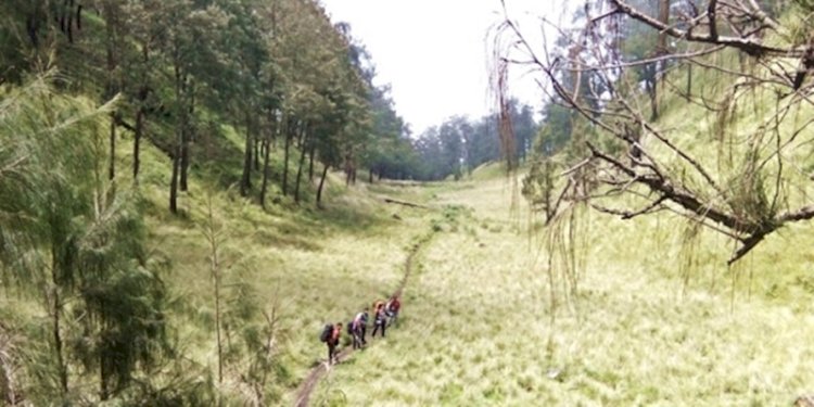 Jalur Pendakian Gunung Lawu, Karanganyar, Jawa Tengah/Net