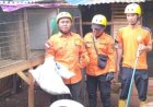 Ular Masuk Pemukiman Warga Kembali Marak di Lubuklinggau