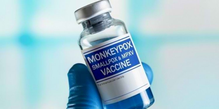 Vaksin untuk mencegah penyebaran penyakit cacar monyet (monkey pox/ Mpox)/Net