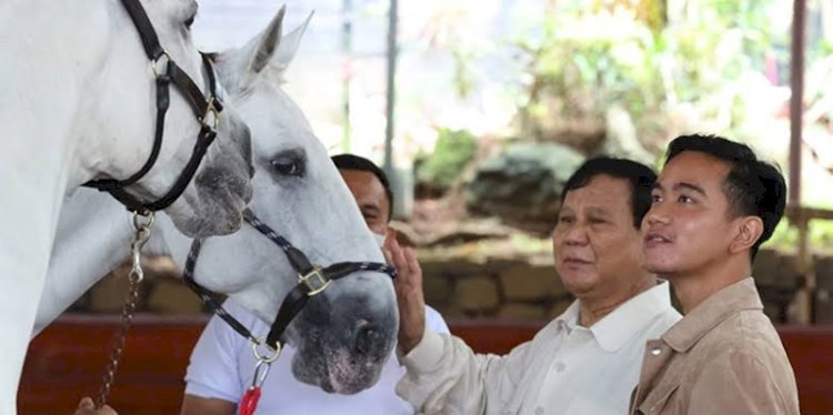 Pasangan bakal calon presiden dan wakil presiden Prabowo Subianto-Gibran Rakabuming Raka/Net