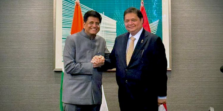 Pertemuan bilateral antara Menko Perekonomian RI, Airlangga Hartarto, dengan Minister of Commerce and Industry, Consumer Affairs India, Piyush Goyal/Istimewa
