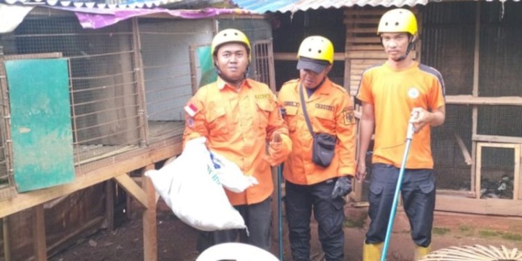 Perugas tengah mengamankan seekor ular dari lingkungan rumah warga/RMOLSumsel