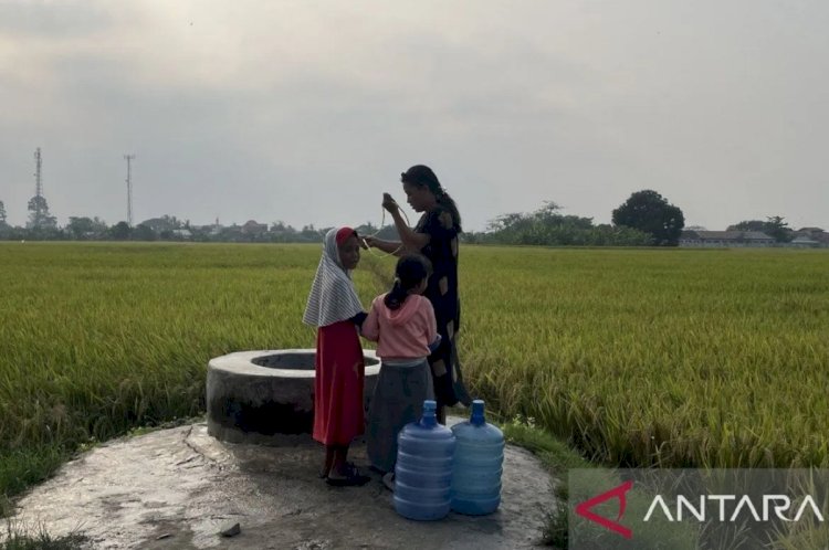 ilustrasi - Warga mengambil air bersih di sumur tengah sawah yang berlokasi di Kecamatan Kasemen, Kota Serang, Banten, Selasa (3/9/2024). (ANTARA/Desi Purnama Sari)