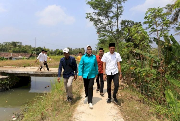 ilustrasi - Bakal calon Gubernur Banten Airin Rachmi Diany (tengah) berbincang dengan sejumlah masyarakat. ANTARA/HO-Tim media Airin
