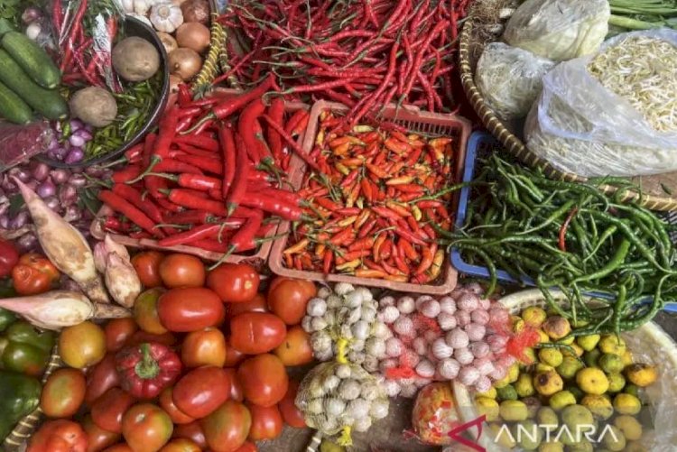 ilustrasi - Harga cabai berbagai jenis di sejumlah pasar tradisional di Kabupaten Lebak, Banten sejak tiga pekan terakhir mengalami penurunan.ANTARA/Harianto