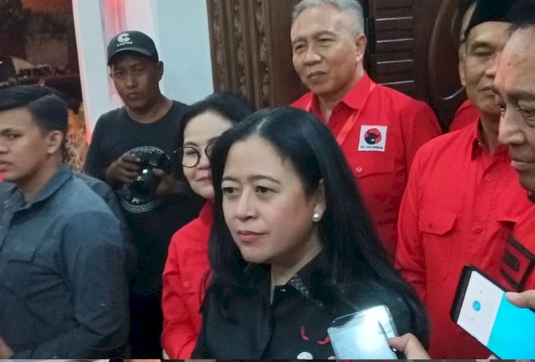 ilustrasi - Ketua DPP PDI Perjuangan Puan Maharani. ANTARA/Zuhdiar Laeis