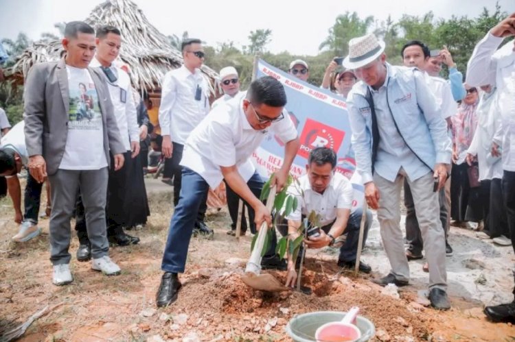 ilustrasi - Pasangan calon gubernur dan wakil gubernur banten nomor urut 2 Andra Soni-Dimyati Natakusuma menanam pohon di kawasan Bendungan Karian, Kabupaten Lebak, Sabtu (28/9/2024). (ANTARA/HO-Timses Andra-Dimyati)
