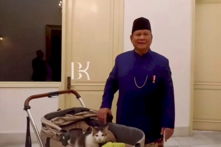 ilustrasi - Kucing kesayangan Presiden RI Prabowo Subianto, Bobby Kertanegara dipastikan jadi penghuni Istana Negara. (ANTARA/instagram @bobbykertanegara)