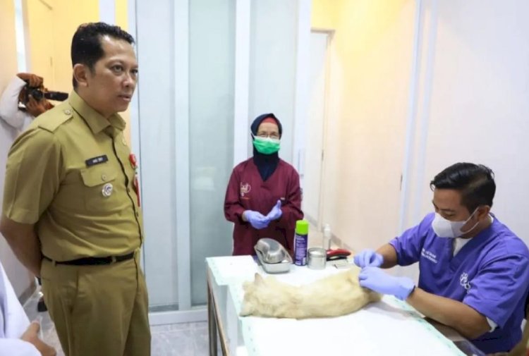 ilustrasi - Pemerintah Kabupaten (Pemkab) Tangerang, Provinsi Banten, membuka fasilitas layanan kesehatan atau klinik khusus hewan ternak, peliharaan maupun liar. (HO/Pemkab Tangerang)