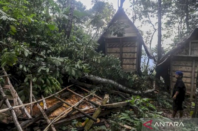 ilustrasi - Warga Suku Badui melihat kondisi lumbung yang rusak akibat angin puting beliung di Kampung Lebak Menteng, Lebak, Banten. ANTARA FOTO/Muhammad Bagus Khoirunas/YU