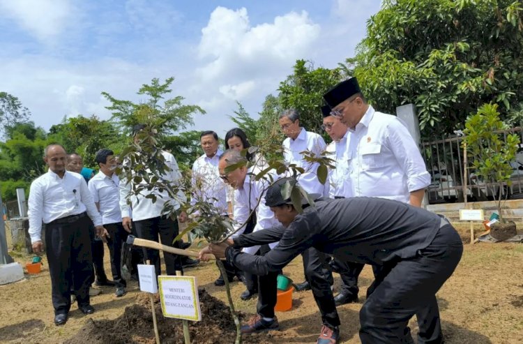 ilustrasi - Menteri Koordinator bidang Pangan Zulkifli Hasan menanam lengkeng merah di Taman PKK Provinsi Banten, Serang, Jumat (10/1/2025). ANTARA/Devi Nindy